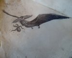 thumbnails/043-IM000245.JPG.small.jpeg