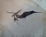 thumbnails/044-IM000246.JPG.small.jpeg