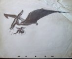 thumbnails/159-IM000481.JPG.small.jpeg