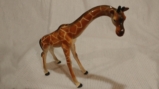 thumbnails/058-20180416_124429.jpg.small.jpeg