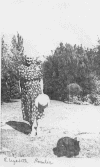 wpe1.gif (105300 bytes)